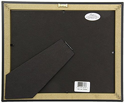 The Grandparent Gift Co. First Granddaughter frame packaging suggests gift-ready presentation