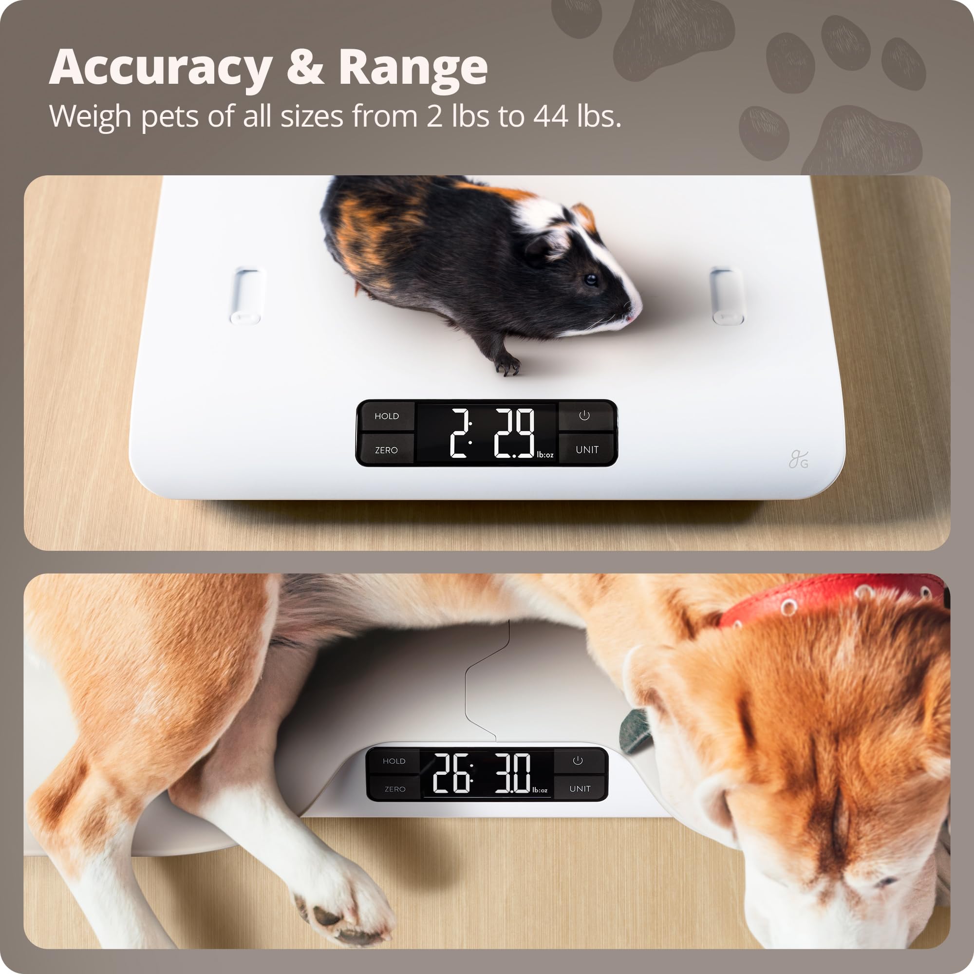Greater Goods Digital Pet Scale offers 5 g precision for tiny weight changes