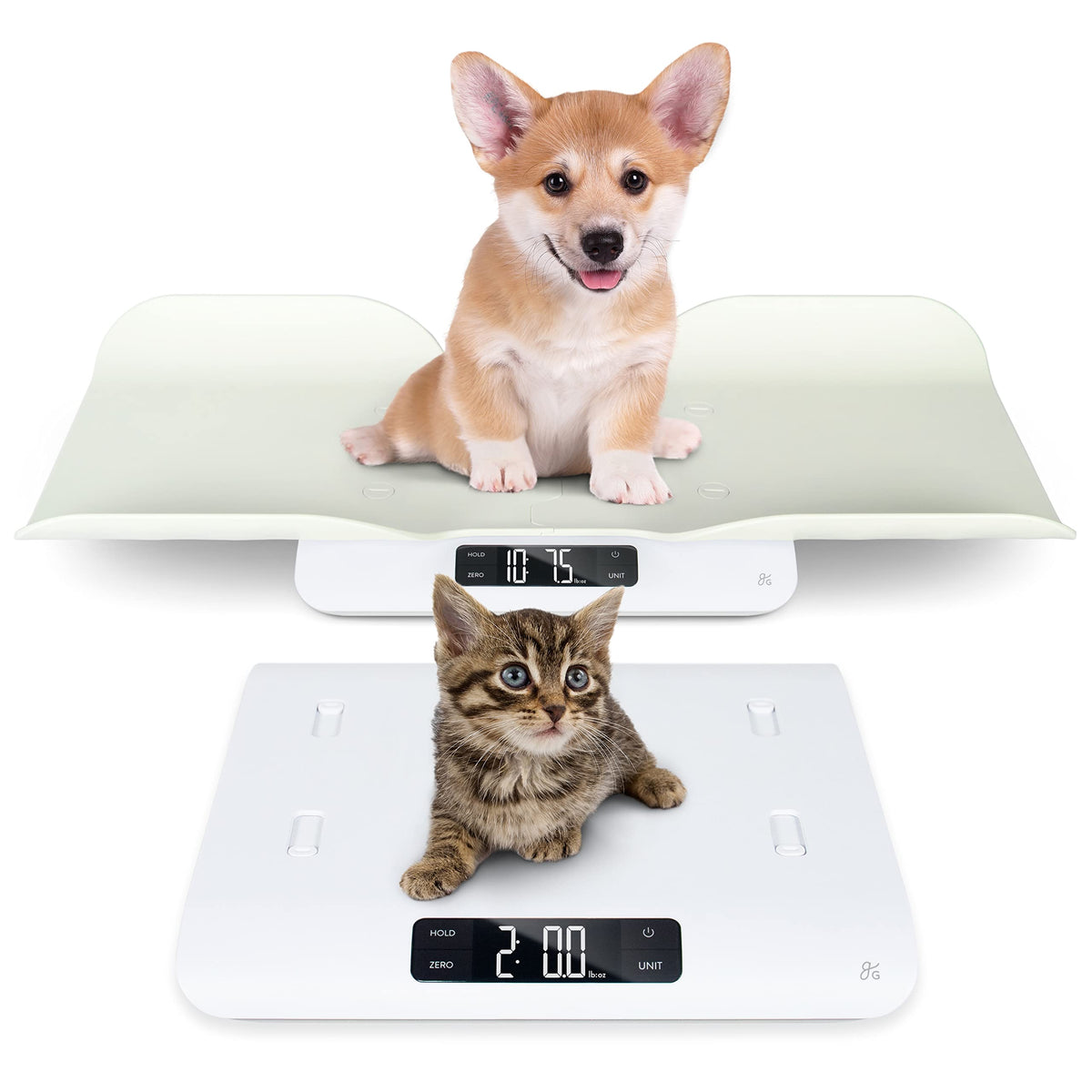 Greater Goods Digital Pet Scale ready for easy setup and precise weighing