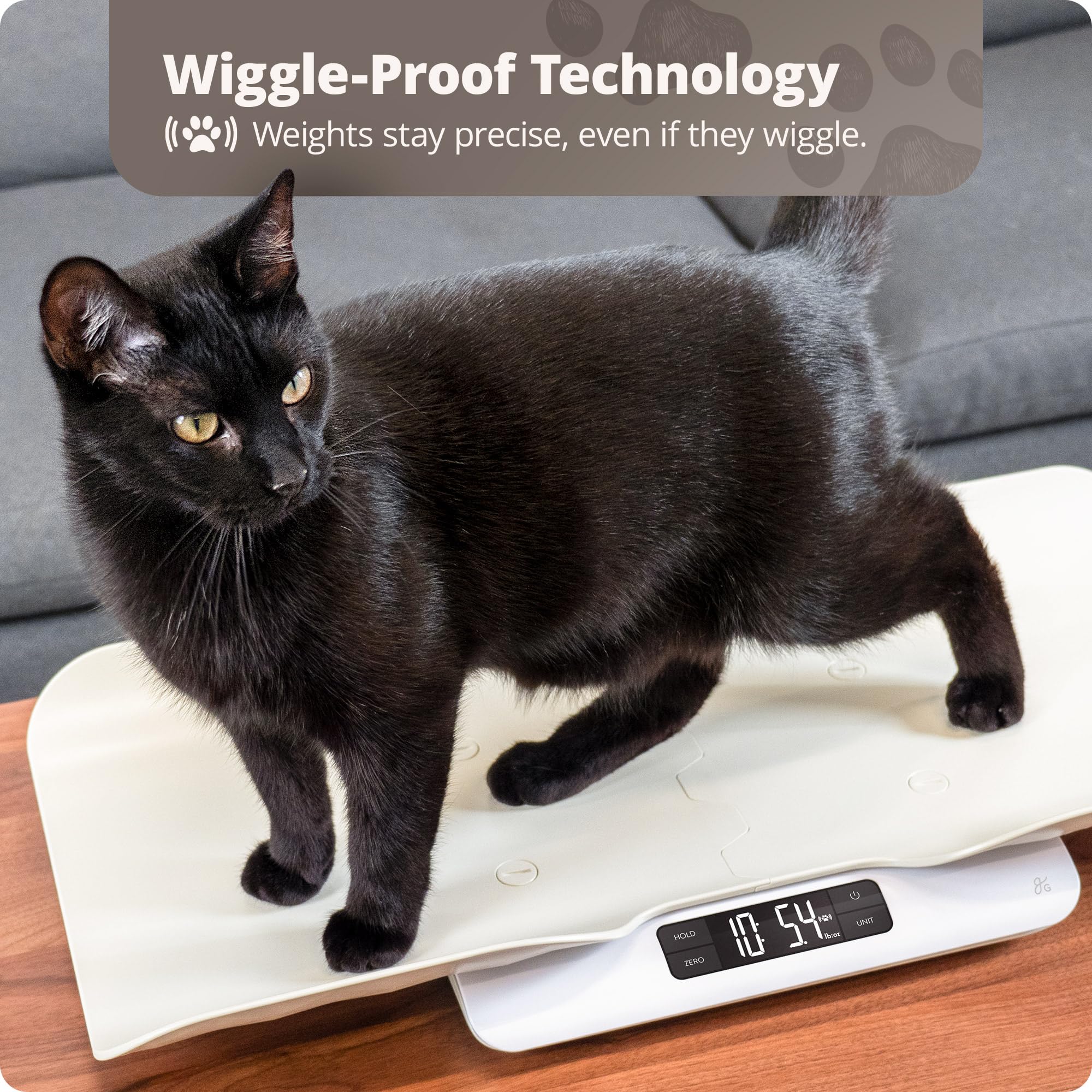 Greater Goods Digital Pet Scale showing tare feature to subtract feeding bowl weight