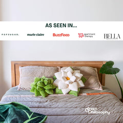 Green Philosophy Co. Succulent Pillow close-up petals highlight 3D design and plush texture.