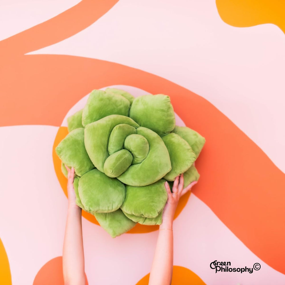Green Philosophy Co. Succulent Pillow arranged on couch with plant accents for versatile decor.
