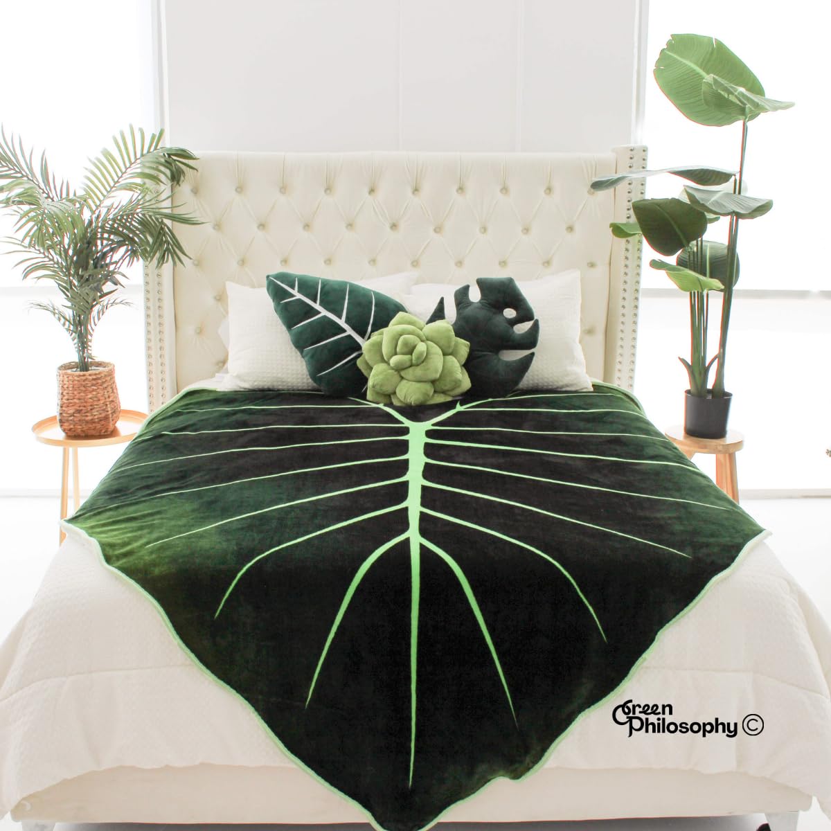 Green Philosophy Co. Succulent Pillow with greenery creating a calm ambiance.