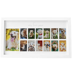 Green Pollywog My First Year dog frame front view for timeless paw memories display.