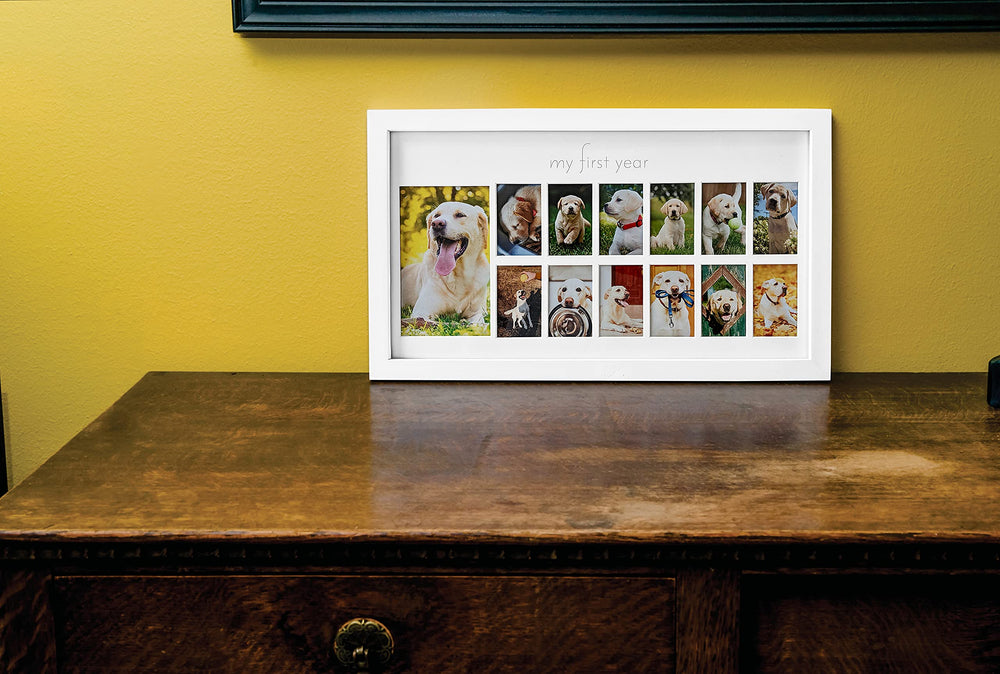Green Pollywog My First Year frame size 19 by 10 inches fits shelves or walls.