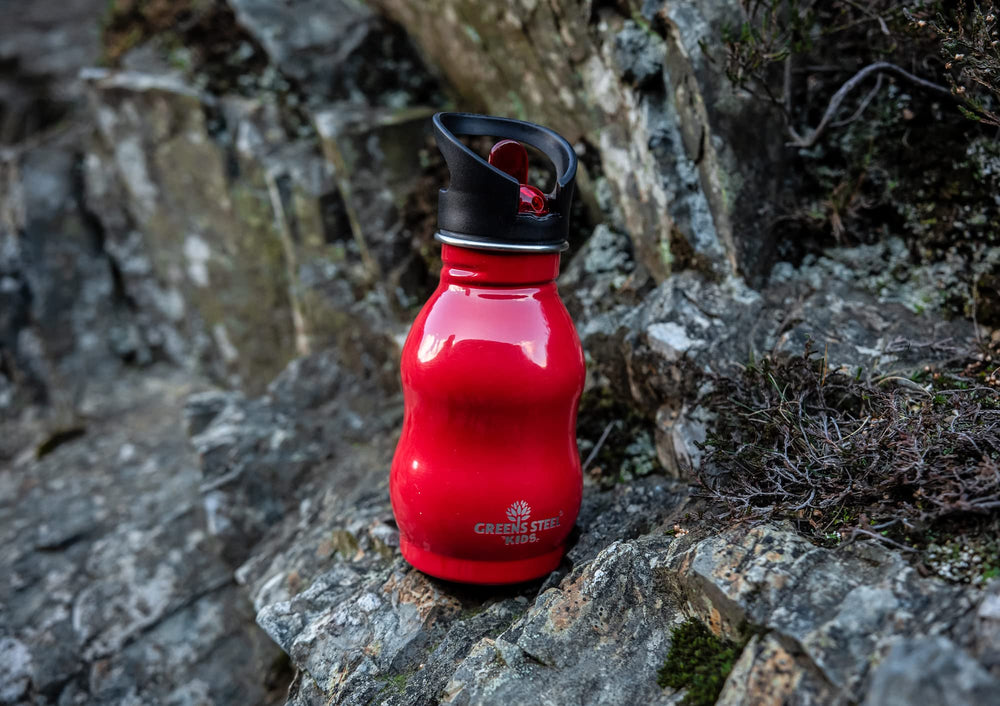 Greens Steel kid-friendly bottle with handle enables easy carry and gripping.