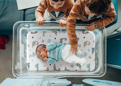 GRSSDER elastic-bottom design demonstrates quick, secure placement