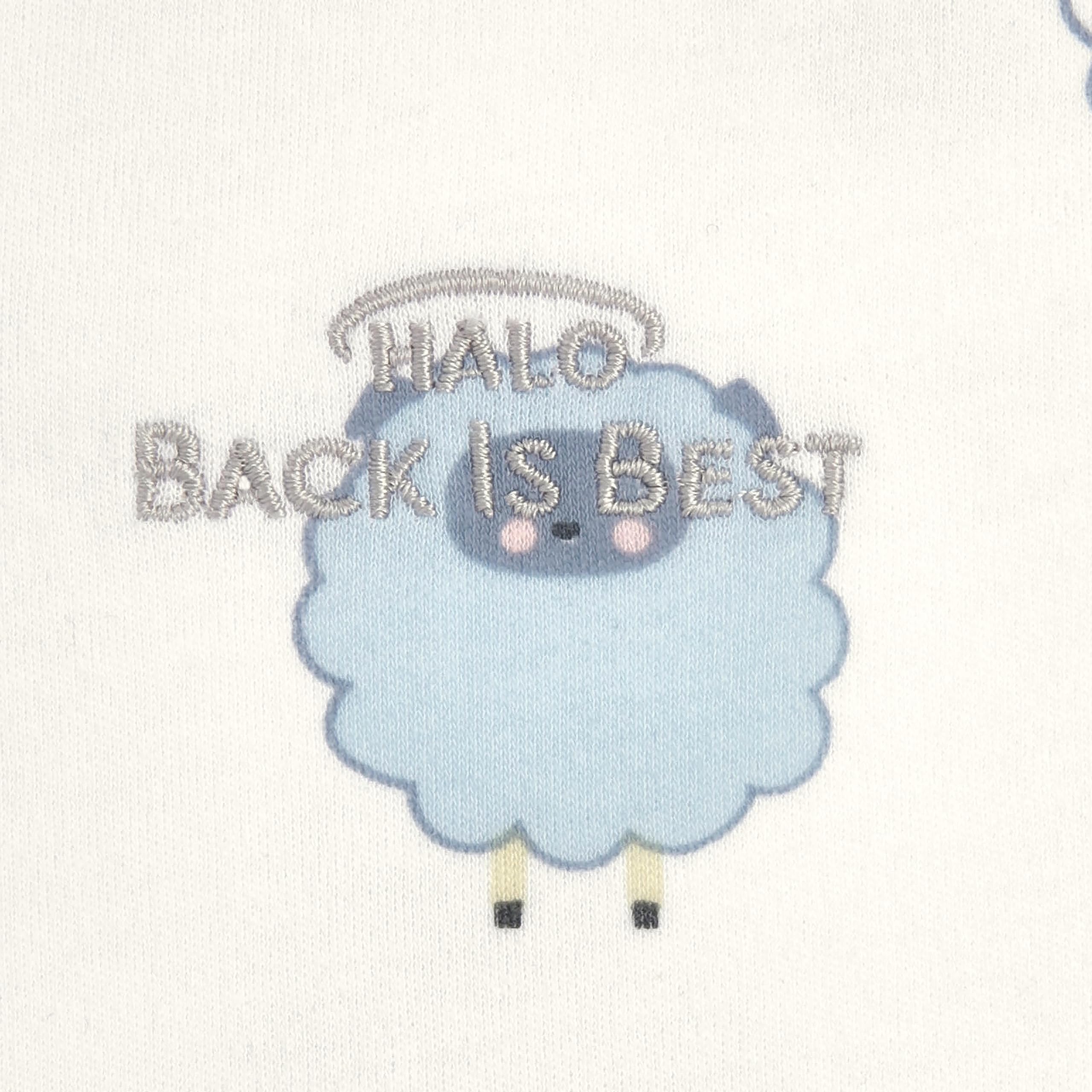 HALO SleepSack medium 6-12 months for room-temperature comfort.