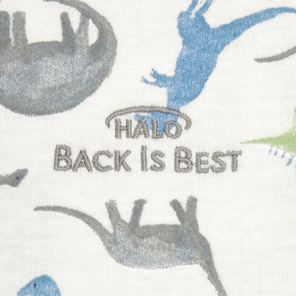 HALO SleepSack Watercolor Dinos large size supports longer wear
