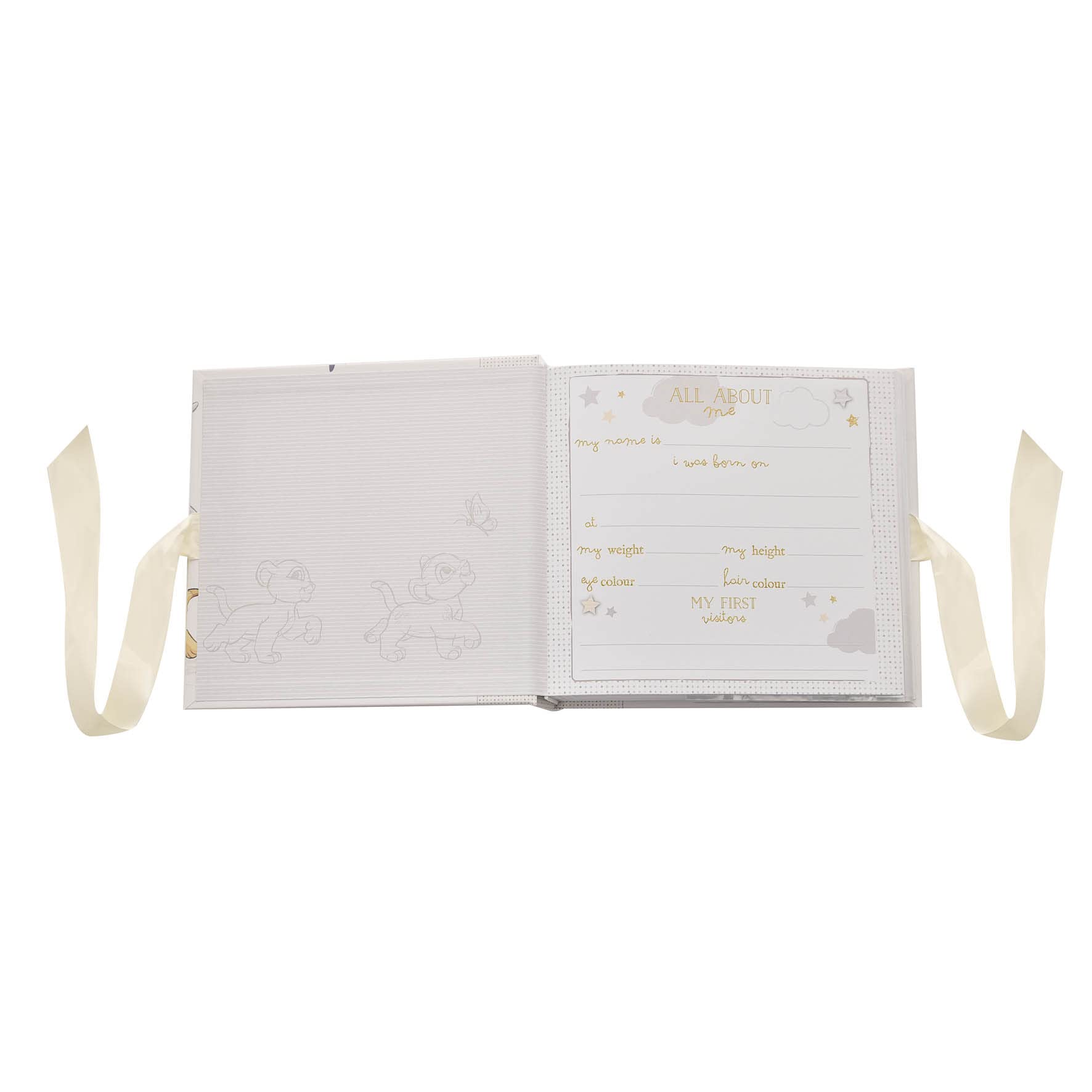 Happy Homewares Lion King album cover Life's an Adventure gold lettering adds cherished memories