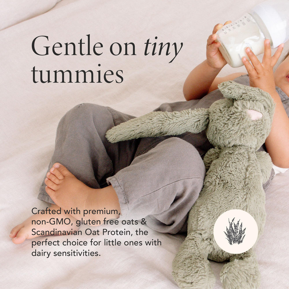 Haven Oat Toddler Dairy Free demonstrates a dairy-free option for dairy-sensitive toddlers.
