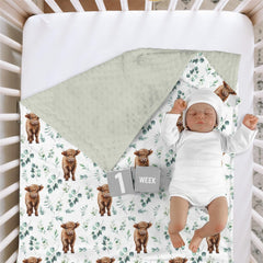 HawSkgFub Highland Cow Eucalyptus Leaf Mink Blanket folded demonstrates double-layer warmth for all seasons.