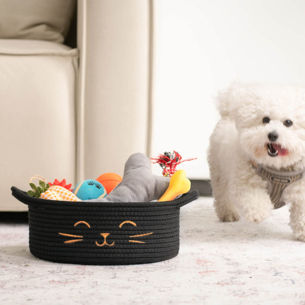 HiChen small storage basket pet toys in-bin for quick cleanup.