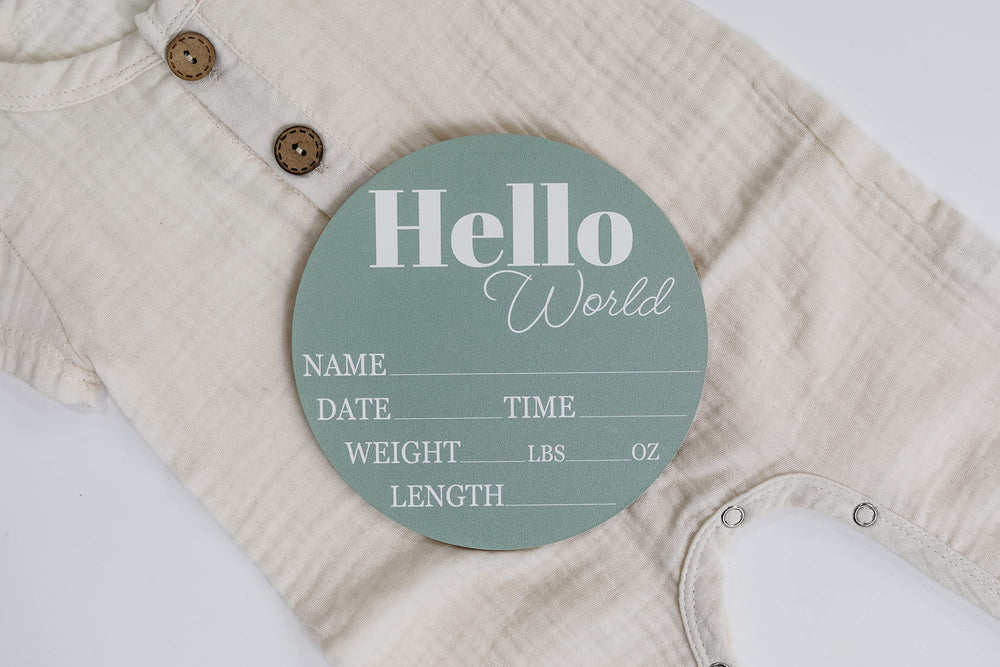 Hickory Hollow Designs hello world nursery sign sage stylish decor for the nursery