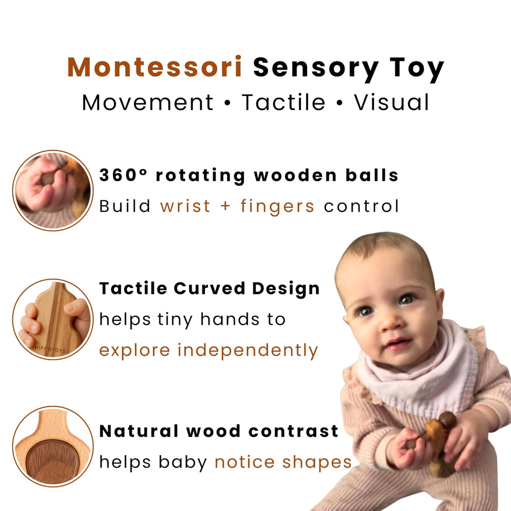 HippoToys wooden rattle producing soft tones for auditory development