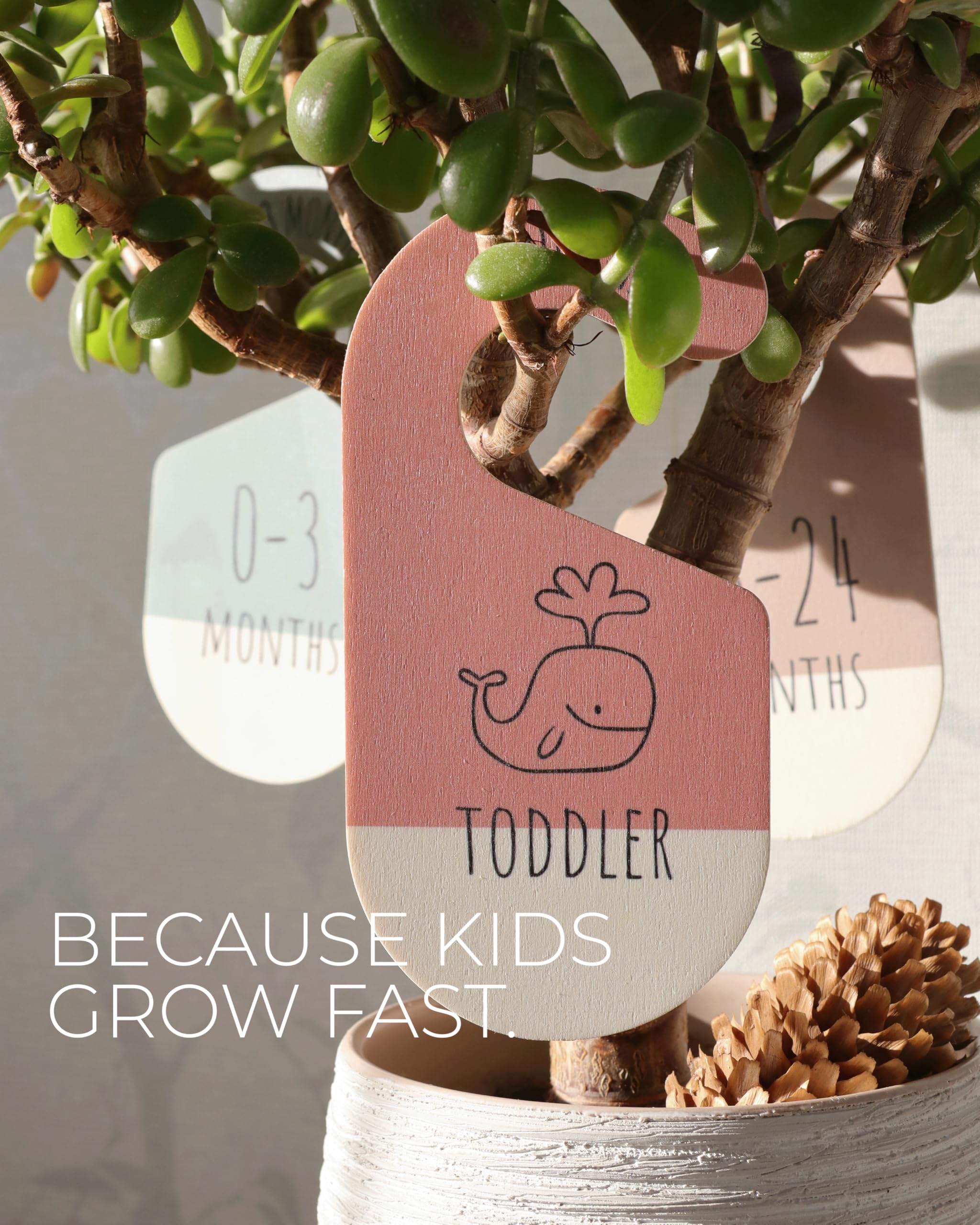 Hippotale set of 8 different sizes simplifies newborn to toddler clothing organization.