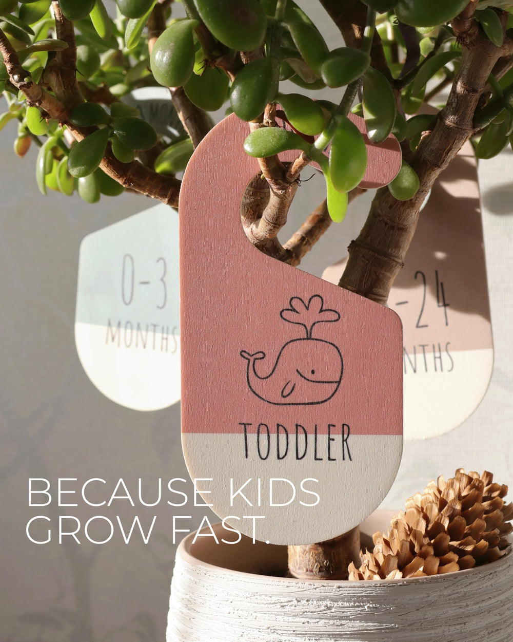 Hippotale set of 8 different sizes simplifies newborn to toddler clothing organization.