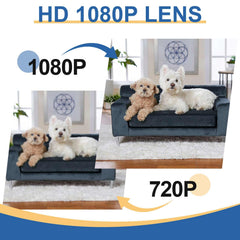 HKFUG camera offers remote live view for pet or baby monitoring.