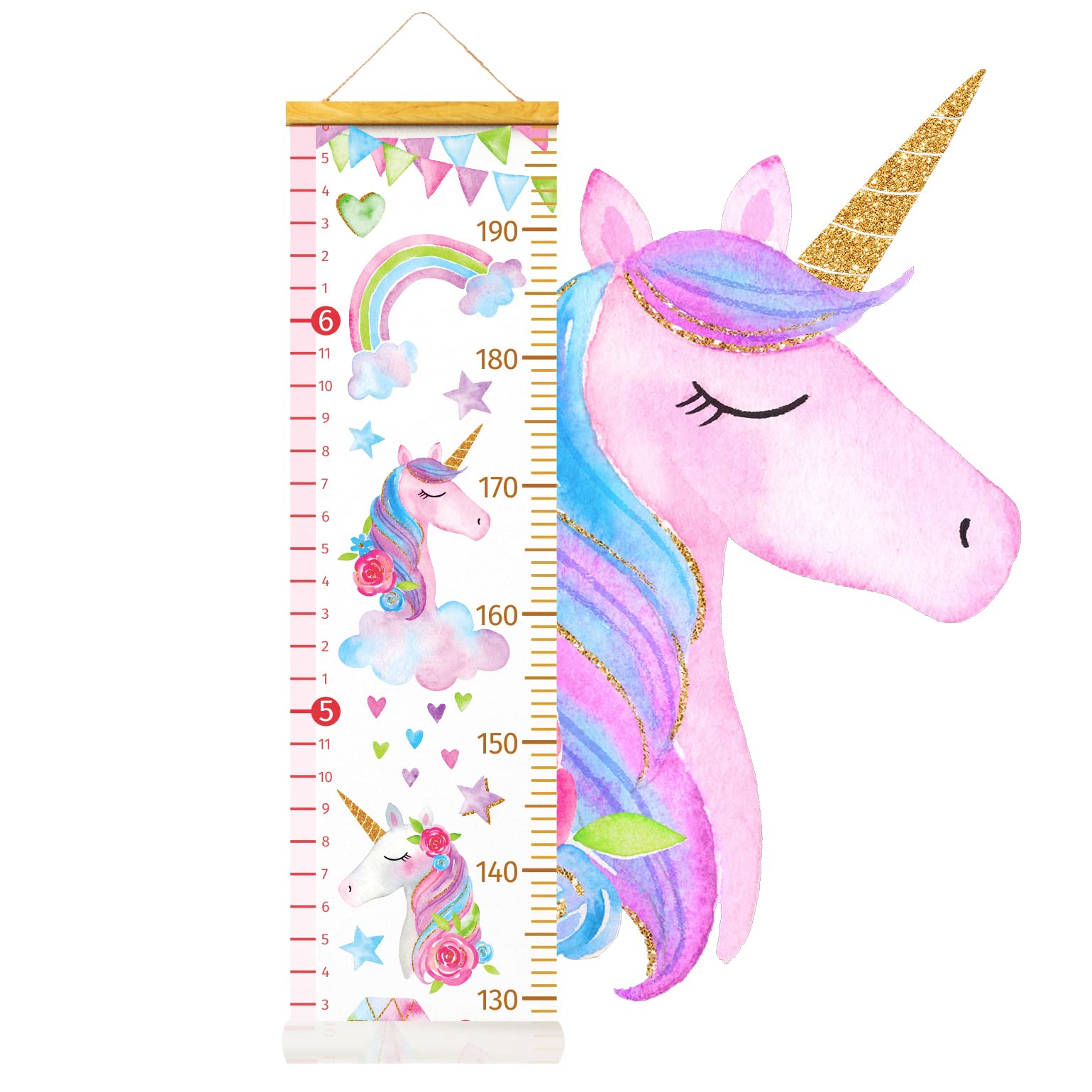 HomeEvolution growth chart with rollable design easy storage after use.
