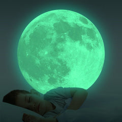 Homics moon crater detail provides a lifelike night-time focal point on ceilings