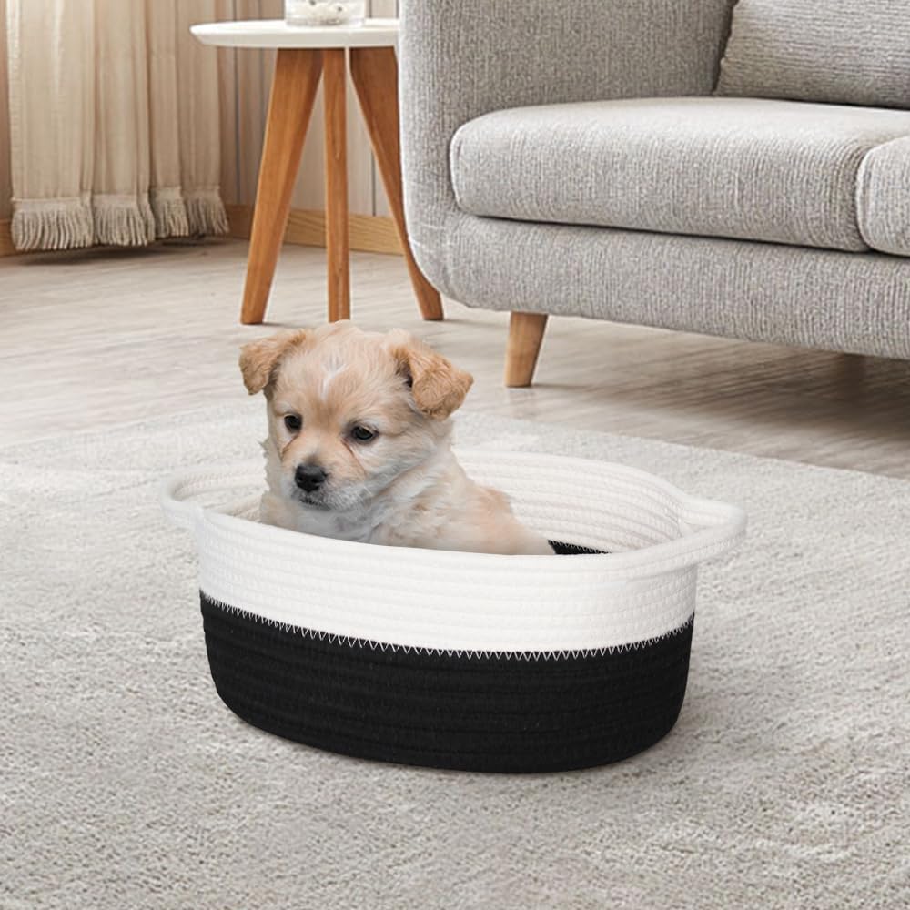 HONCESTA pet toy bin keeps dogs and cats' toys organized.