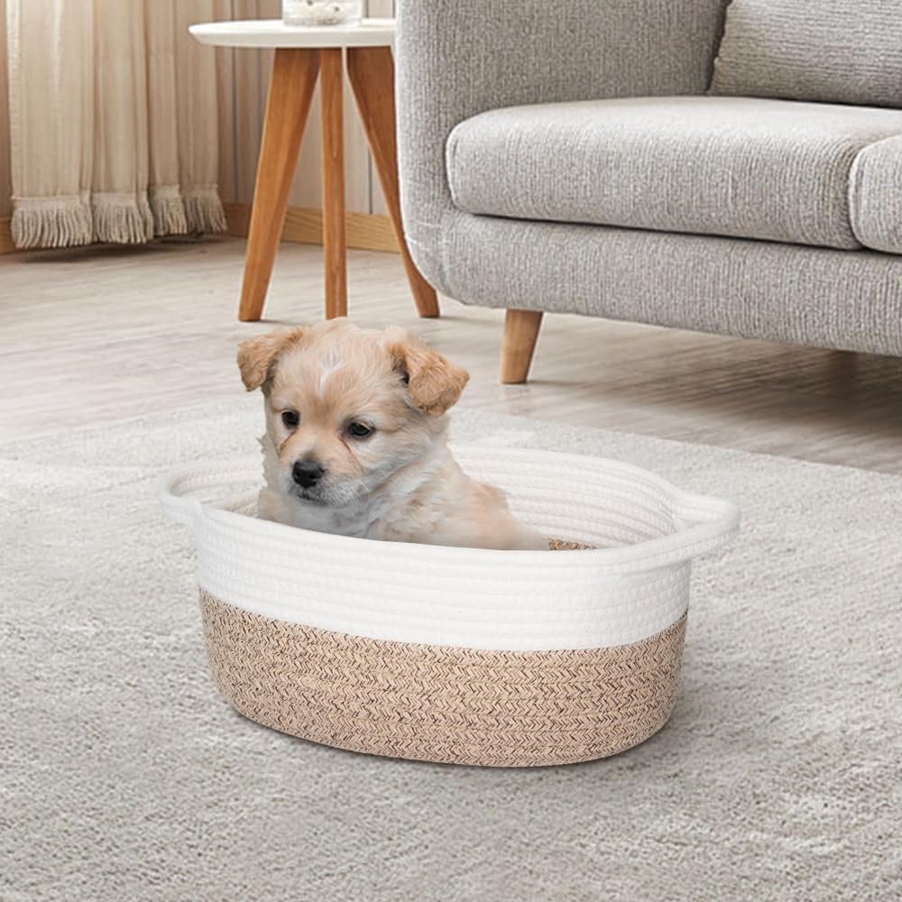 HONCESTA compact storage with built-in handles for easy transport.