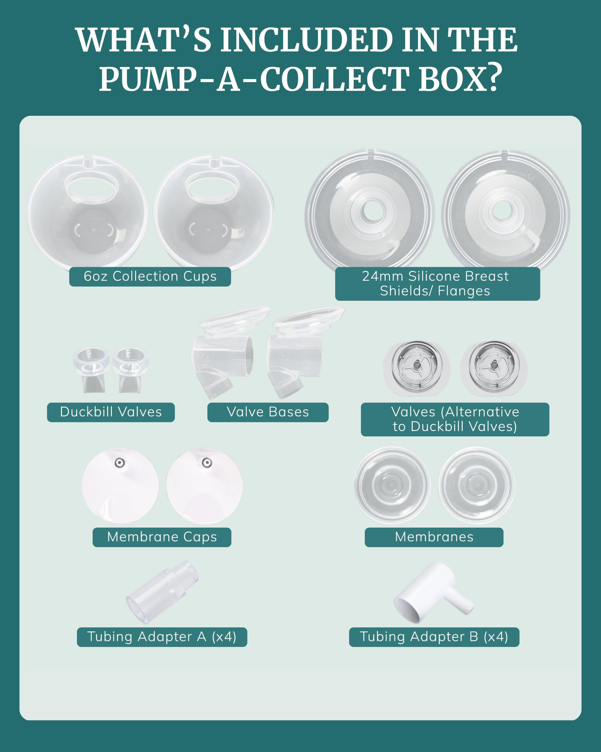IDAHO JONES flange inserts enable 13–21mm sizing for a personalized fit