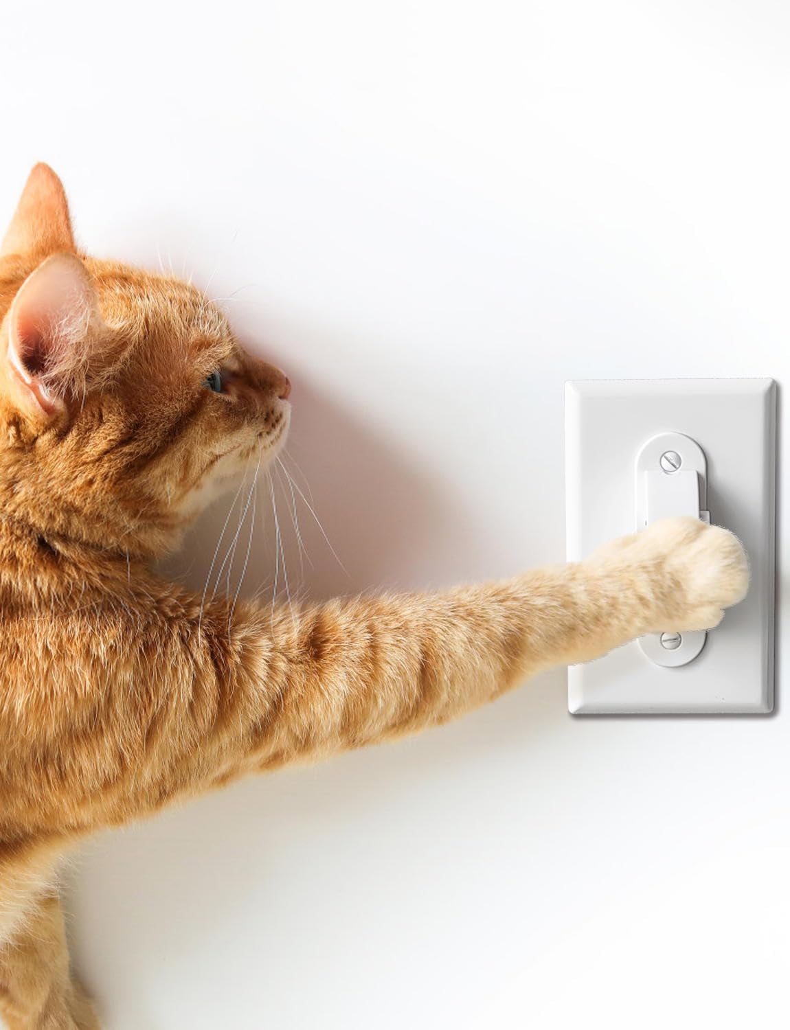 ILIVABLE light switch guard installed on wall shows universal compatibility and child-safe routine control