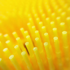 Innobaby Silicone Duck Scrub soft bristles close-up highlights soothing lather during baby baths.