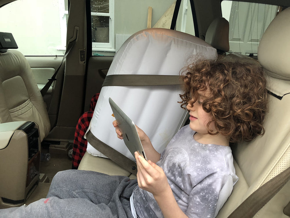 Jet Creations backseat divider separates pets during travel.