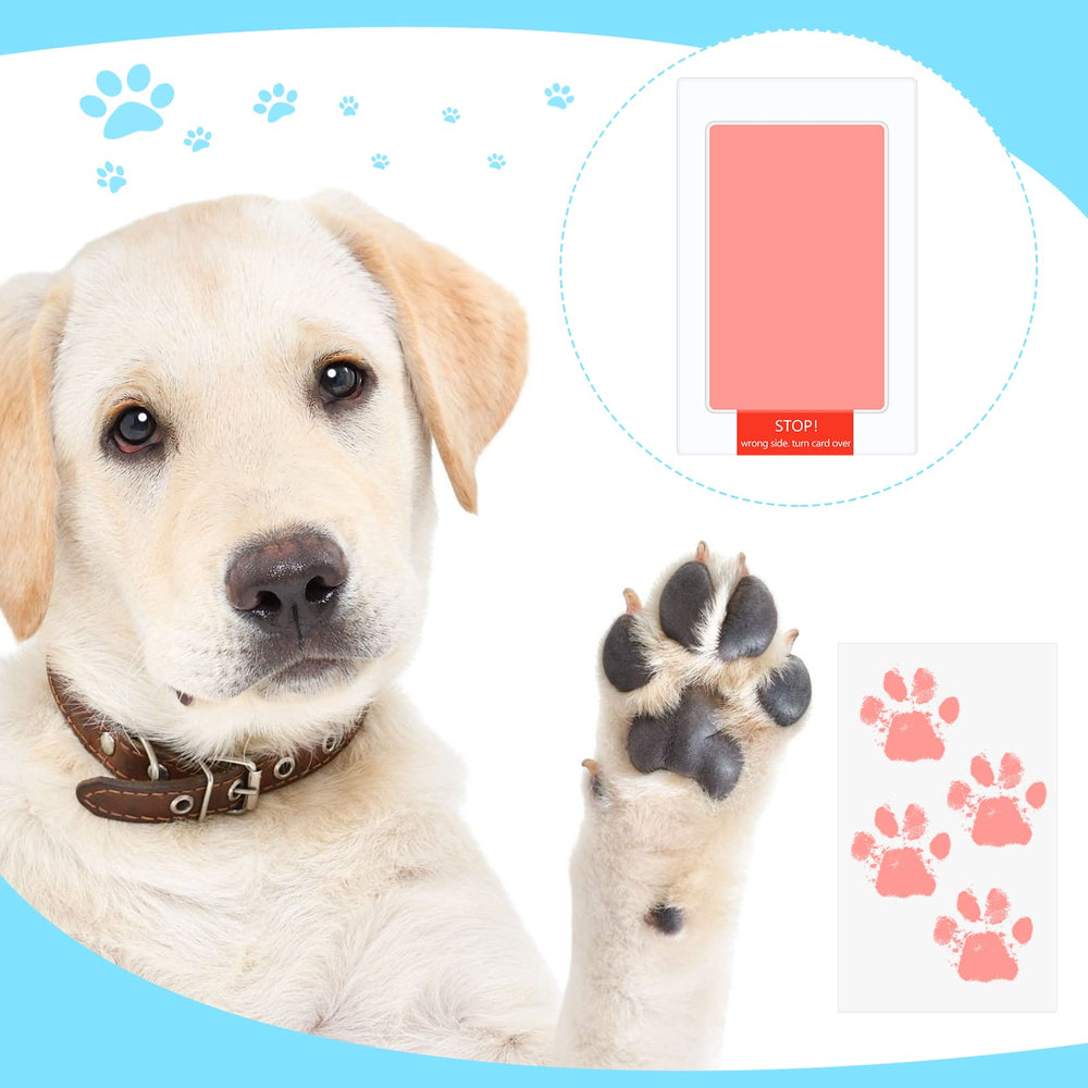 Jexine gift-ready printing kit supports thoughtful family memories
