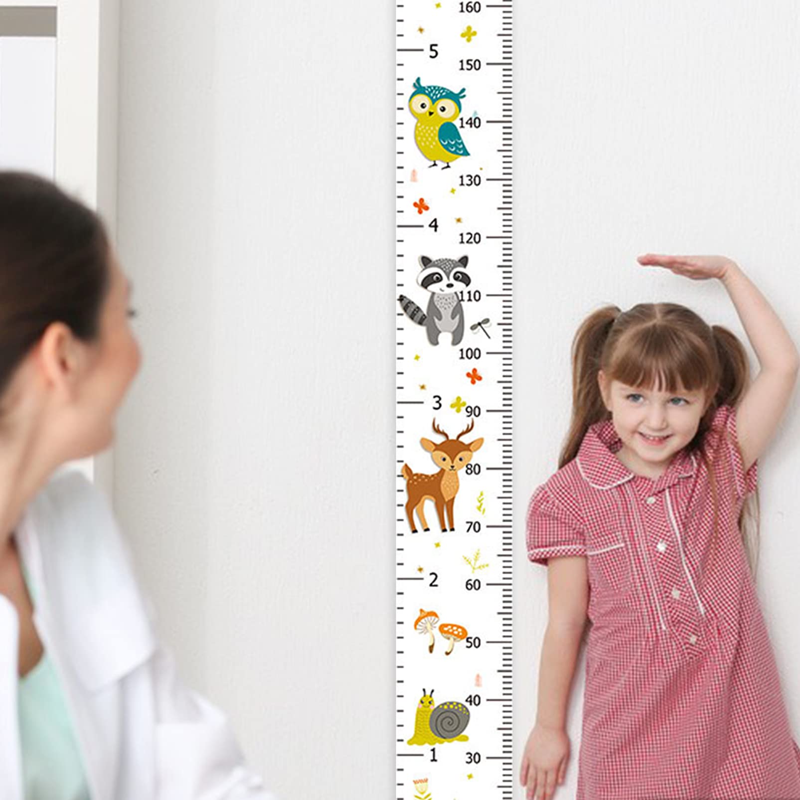 JLNGTHONG height chart bird accents brighten walls and motivate kids.