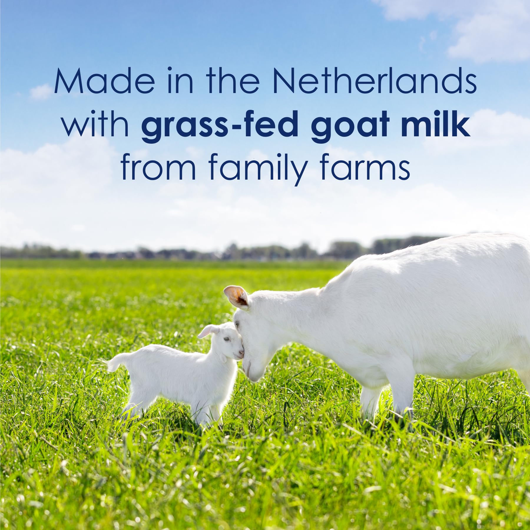 Kabrita grass-fed whole goat milk first ingredient from Dutch family farms.