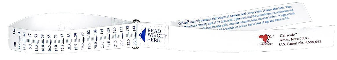 Katouigb Sullivan's Calf Scale Weigh Tape measures newborn calf birth weight quickly.