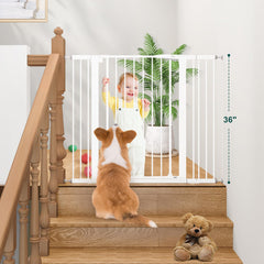 keny durable metal gate frame crafted for daily use.