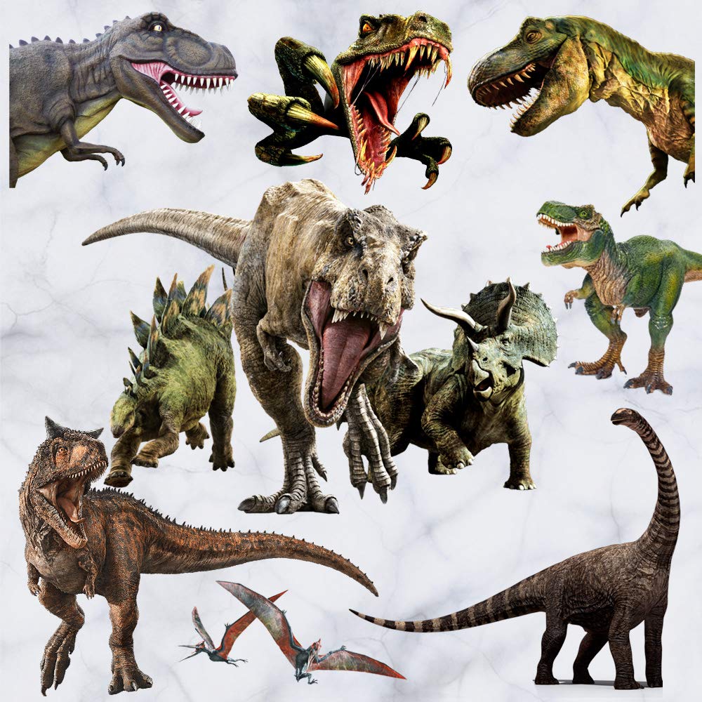 Kiddale dinosaur wall sticker sheet adds playful wall art to a kid's room and is removable.