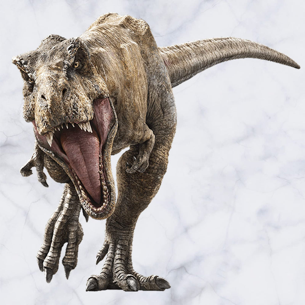 Kiddale Raptor wall decal embossed 3D effect adds texture and depth