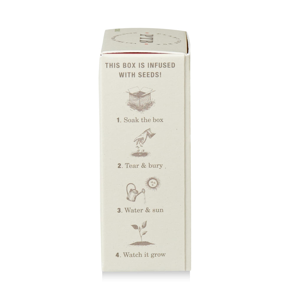 KOBO Plant the Box Wild Tomato Vine Bar Soap on bathroom shelf inspires daily ritual.