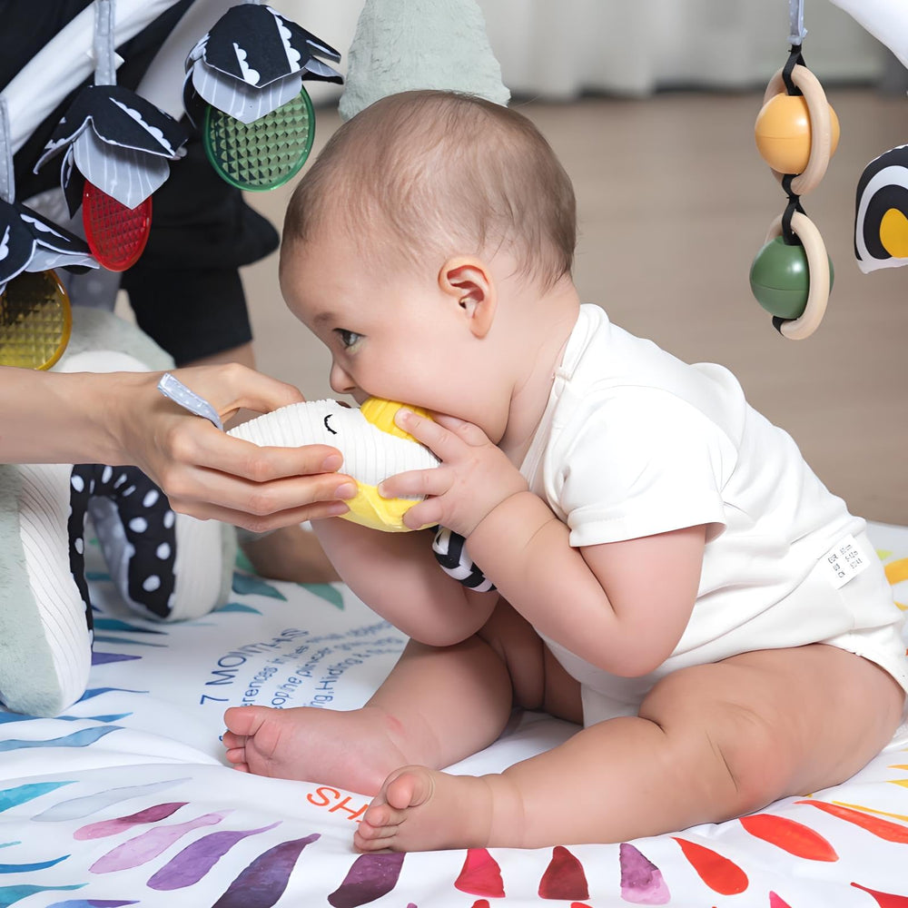 LADIDA rings with crinkle and rattle sounds encourage cause-and-effect learning.