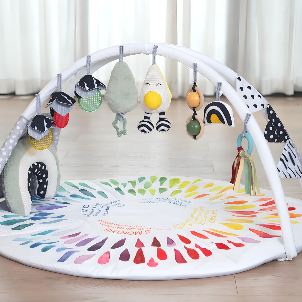 Interchangeable rings can be hung on cribs or strollers for versatility.