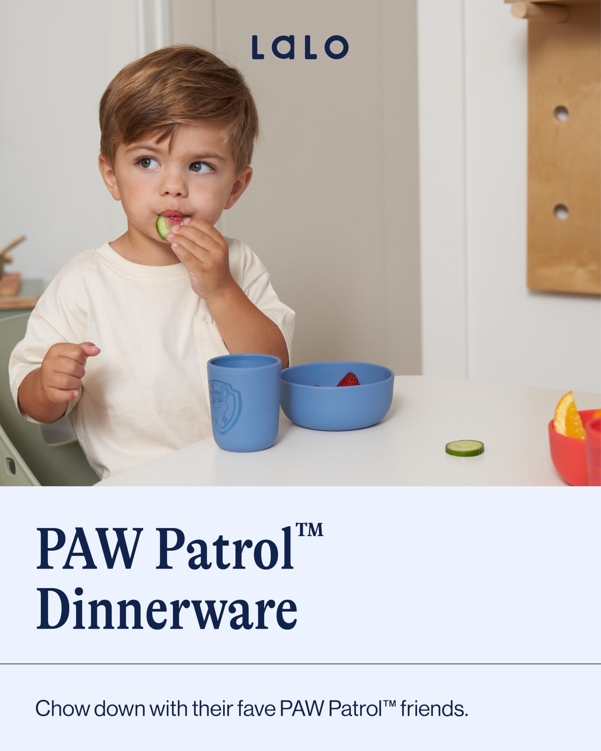 Lalo PAW Patrol Skye plate ideal for portion controlled kid meals and imagination