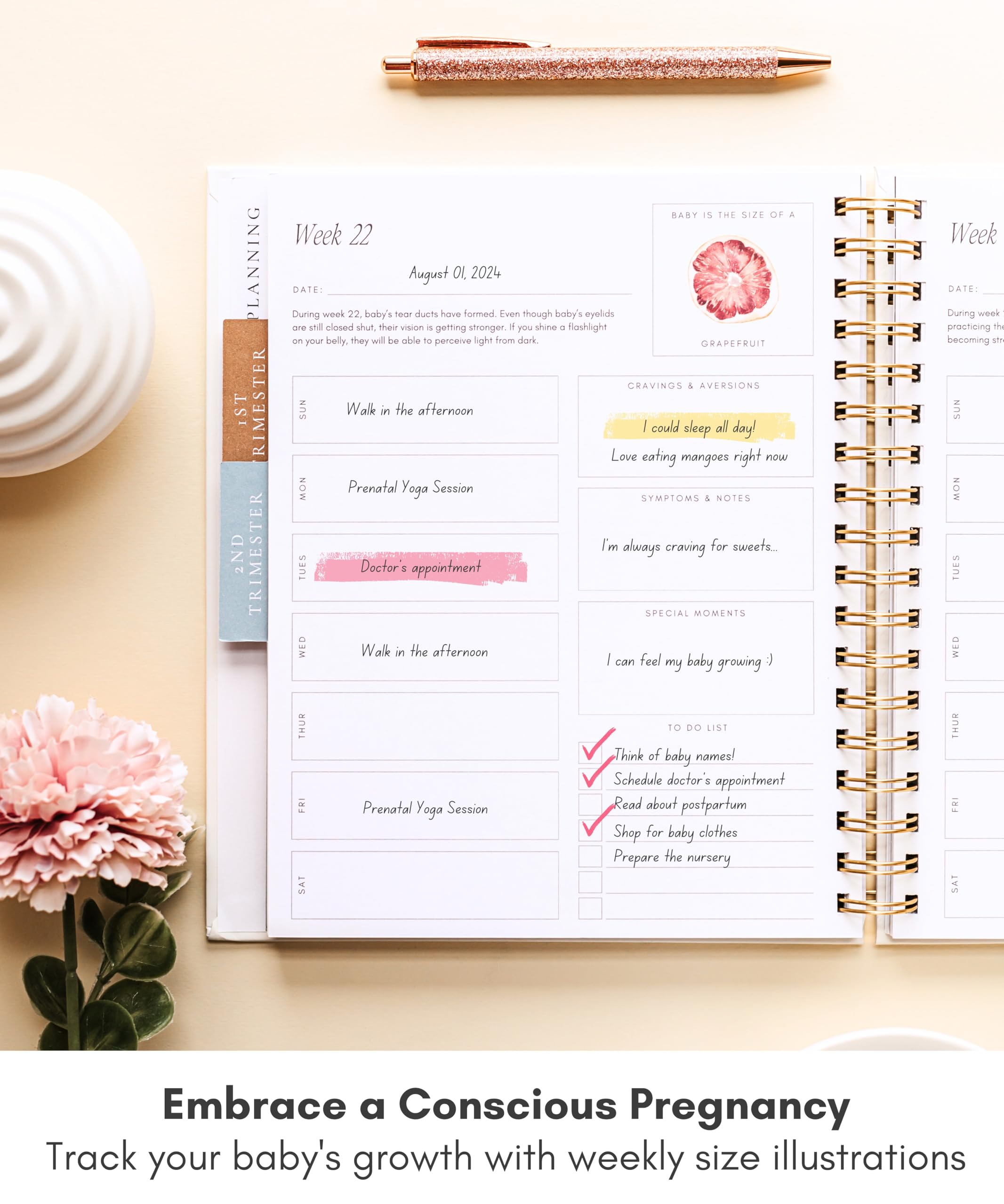 Lamare pregnancy journal ultrasound slot preserves early scan memories alongside notes.
