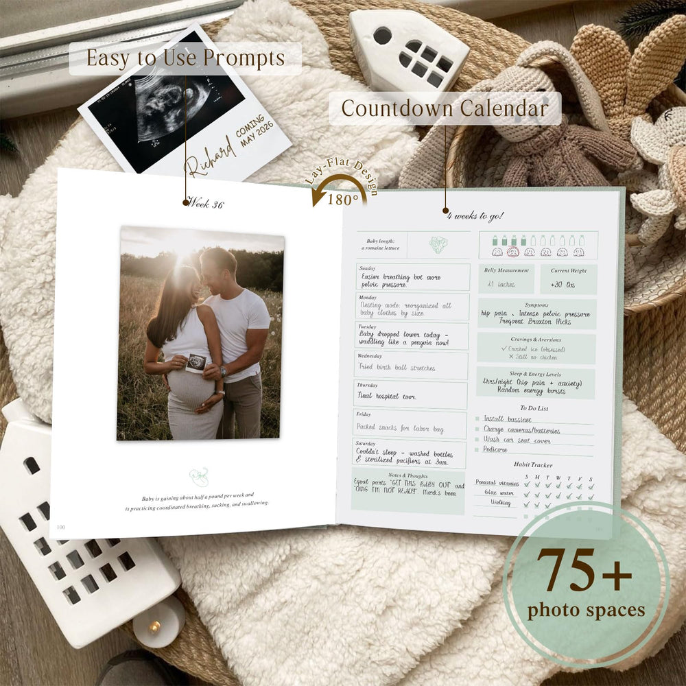 Lanpn birth plan and hospital bag checklist pages for prep