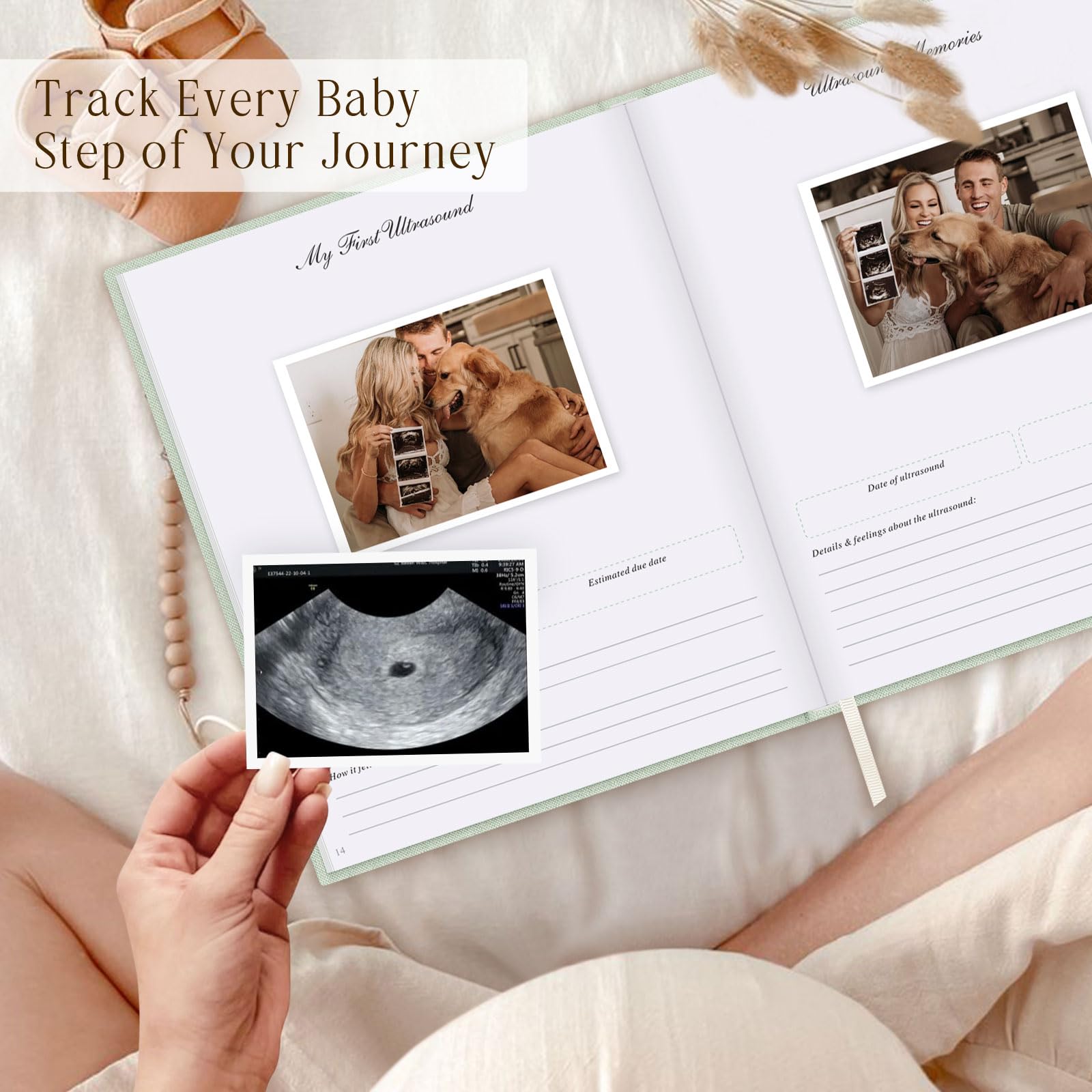 Lanpn ultrasound window page to insert ultrasound photo memories