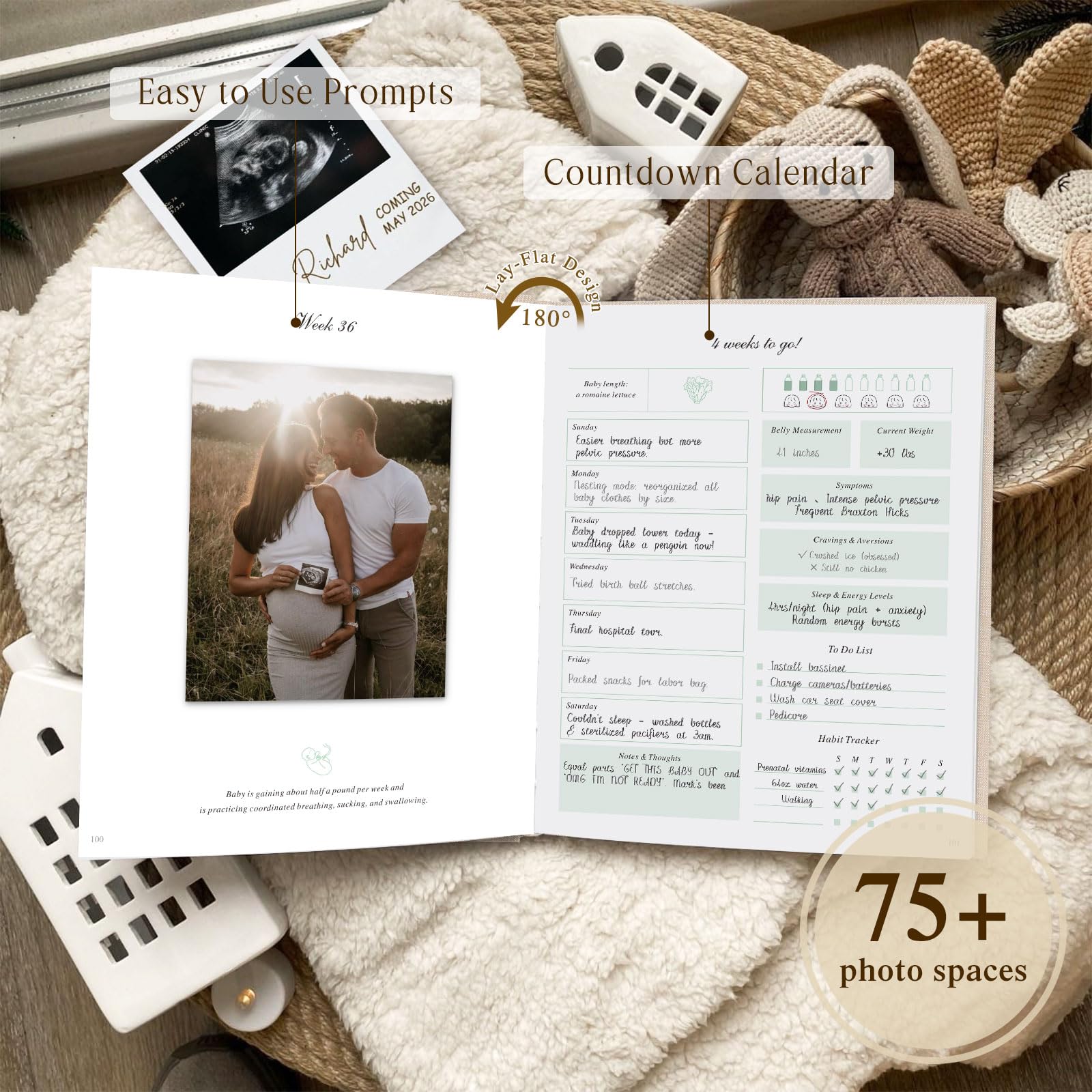 Lanpn pregnancy journal weekly logs and milestone pages track the journey.