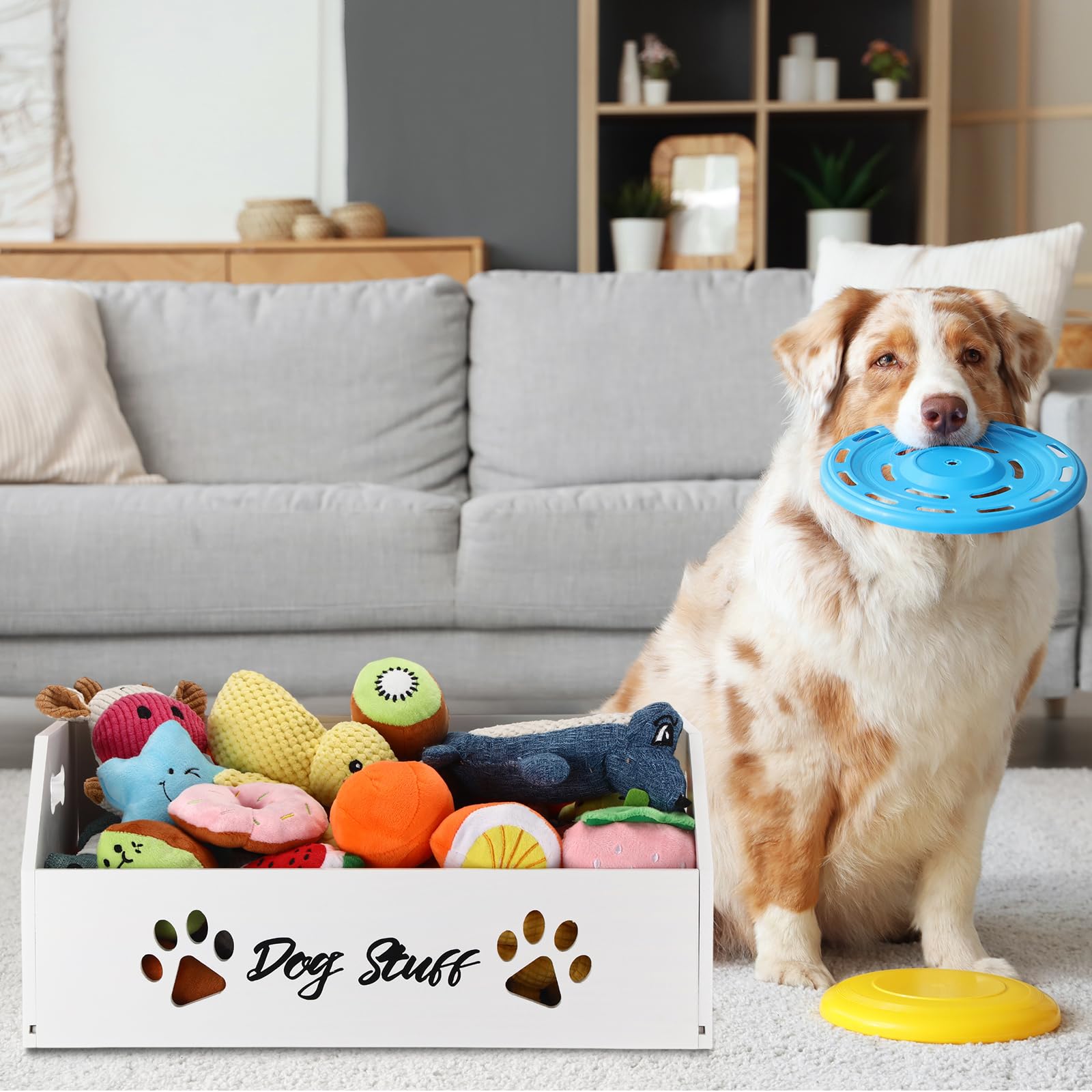 Leinuosen dog toy bin assembly demonstrates quick setup with included hardware
