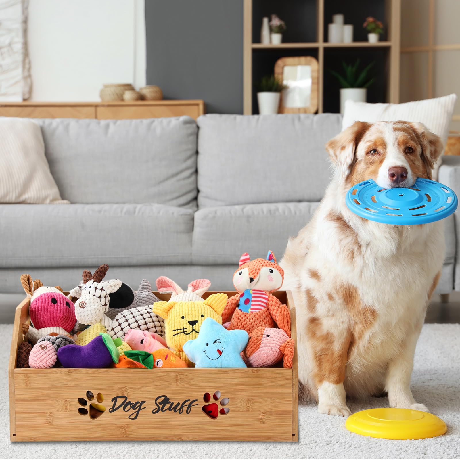 Leinuosen dog toy bin in living room demonstrates home-friendly storage solution