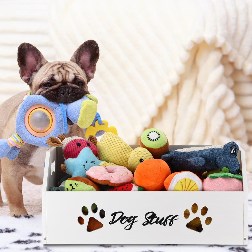 Leinuosen large dog toy bin in living room setup demonstrates clutter-free space