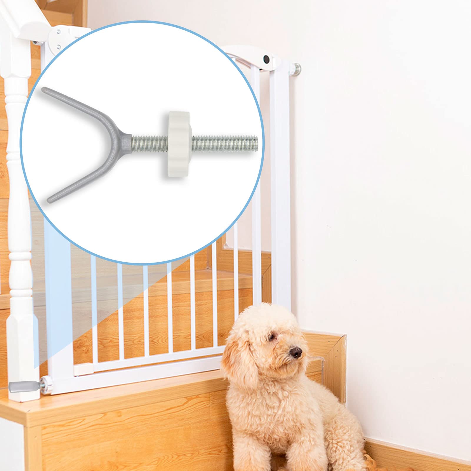 LhyBtm two-pack packaging image highlights adapters for quick setup.