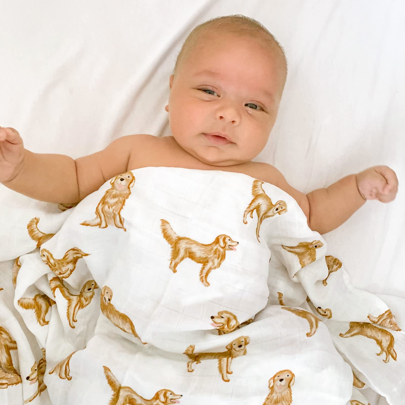 LifeTree swaddle design golden retriever close-up illustrates a playful baby gift for dog-loving families.